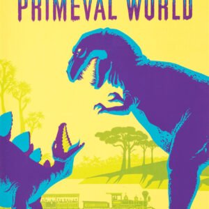 Vintage 60s Davis Cup French Tennis Poster