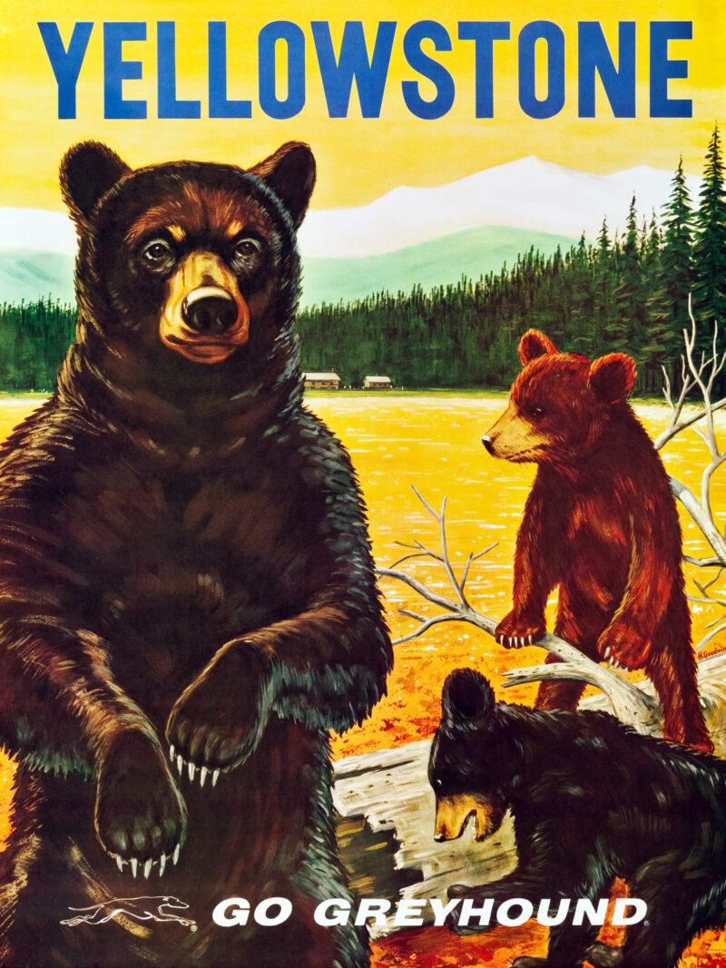 vintage Yellowstone national park poster