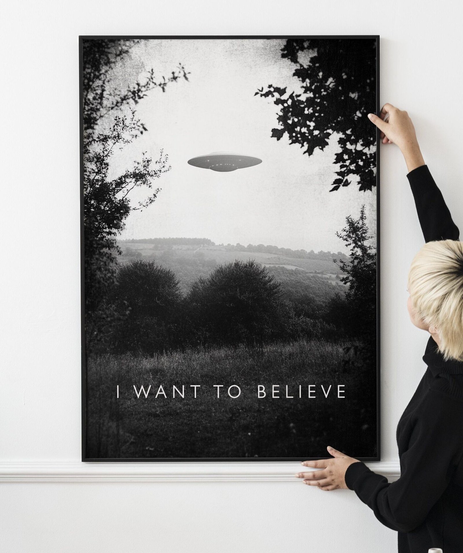 I WANT TO BELIEVE X Files Alternative Poster