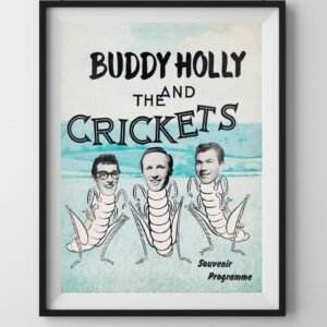 vintage buddy holly concert poster