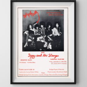 1970s Iggy and the Stooges New York Dolls Glam Rock Concert Tour Poster